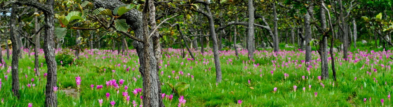 hilight จังหวัด